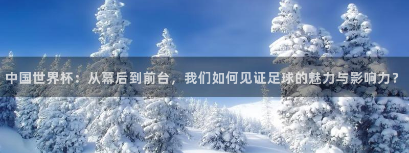 世界杯预选赛欧洲区赛程：中国世界杯：从幕后到前台，我们如何见证足球的魅力与影响力？