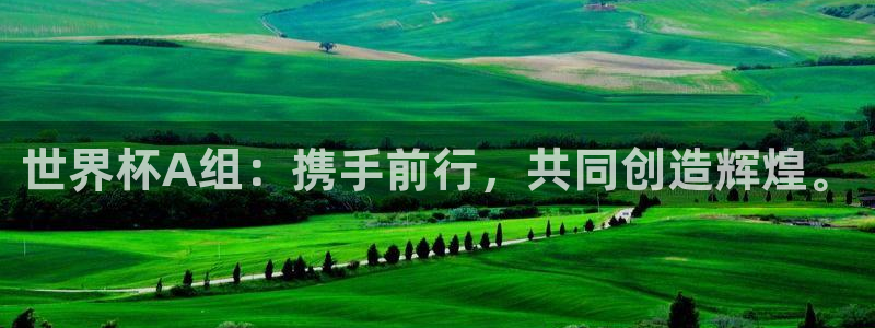 世界杯预选赛排名：世界杯A组：携手前行，共同创造辉煌。