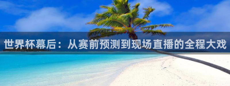 2026年足球世界杯赛程时间表：世界杯幕后：从赛前预测到现场直播的全程大戏