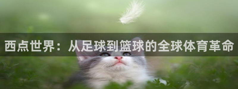 2026世界杯中国队：西点世界：从足球到篮球的全球体育革命