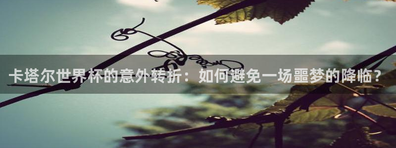 世界杯决赛预测：卡塔尔世界杯的意外转折：如何避免一场噩梦的降临？