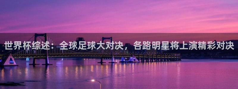 2006年世界杯冠军：世界杯综述：全球足球大对决，各路明星将上演精彩对决