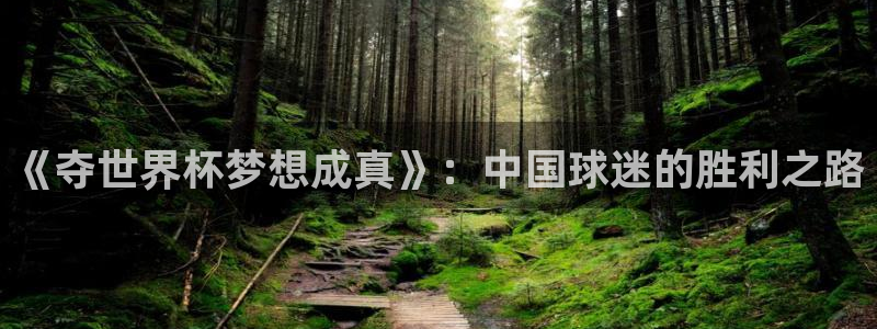 世界杯预选赛2026：《夺世界杯梦想成真》：中国球迷的胜利之路