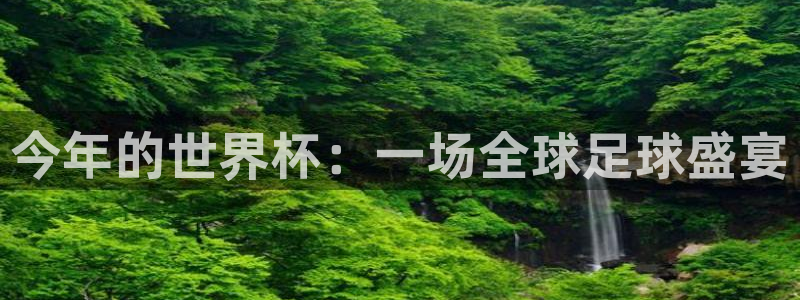 世界杯2026赛制：今年的世界杯：一场全球足球盛宴