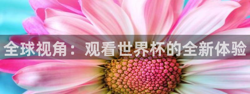 世界杯亚洲区预选赛赛程：全球视角：观看世界杯的全新体验