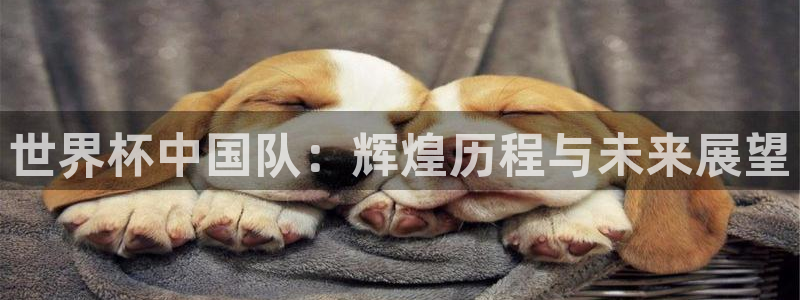 世预赛欧洲赛程表：世界杯中国队：辉煌历程与未来展望