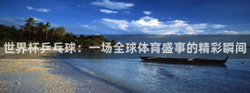 免费足球比赛直播高清：世界杯乒乓球：一场全球体育盛事的精彩瞬间